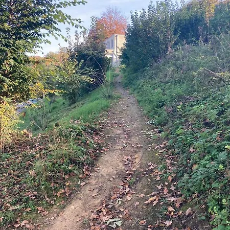 公寓 Sans Souci 法尔肯堡