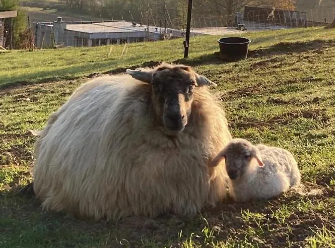 Apartamento Sans Souci