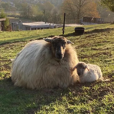 아파트 Sans Souci