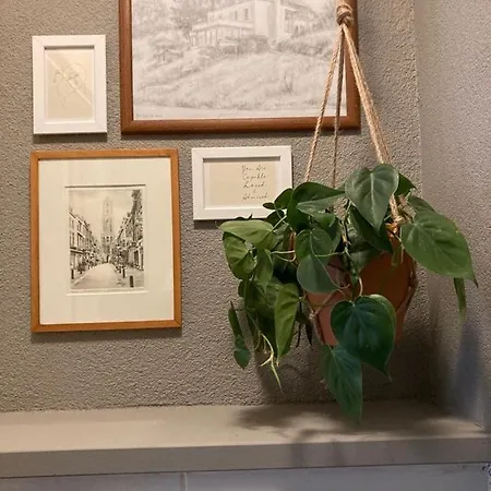 Sans Souci 팔켄뷔르흐안더횔